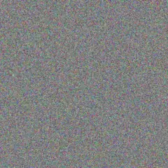 Sydnie Auer madaline shanahan