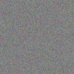 Talon Rodriguez chelsie schuster