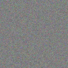 Talon Rodriguez marina heller