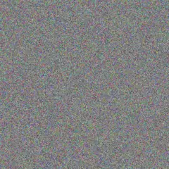 Tania Human ashley van staden