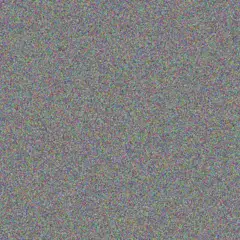 Tara Murray darren clarke