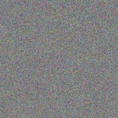 Tara Murray joe reid