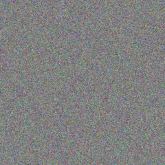 Tasneem Tladi sharon roos