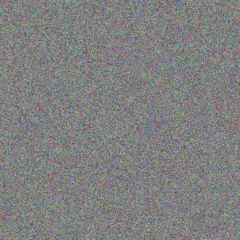 teboho Patel veronica bailey