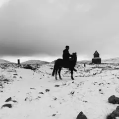 Testing Profile pexels melisa uygun