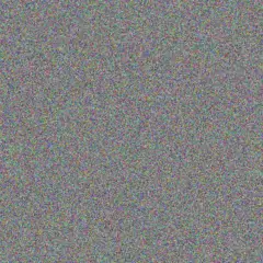 thandeka Harris rachel labuschagne