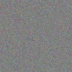 To  Petersen refilwe de beer