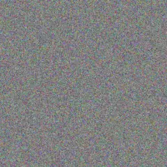 Tracey Schoeman adriaan moloi