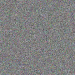 Tracey Schoeman yvonne nxumalo