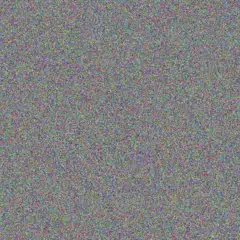 Vincent Stander lesley martin