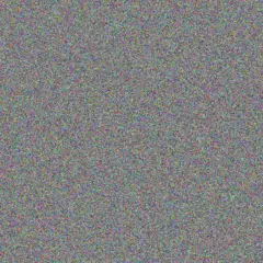 vuyokazi Nortje hannes walters