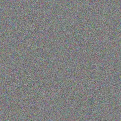 vuyokazi Nortje vincent sibisi