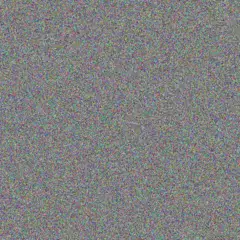 Wade Rempel mollie kuvalis