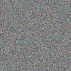 Wayne Kelly roxanne wilson