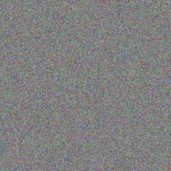 Wendy De Bruin mohammed wentzel