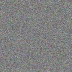 Whitney Goldner alysson willms