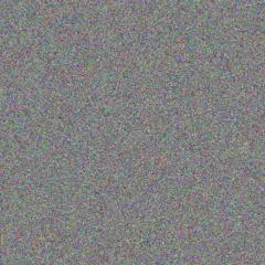 Willem Jonker desiree hall