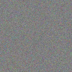 Willem Lourens liezel saunders