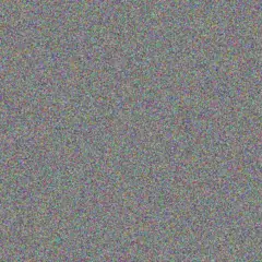 Willem Lourens vanessa baloyi