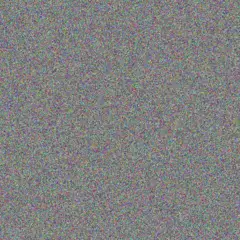 yolandi Mokone rodney bester