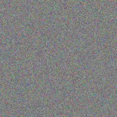 your Zondi barry van vuuren