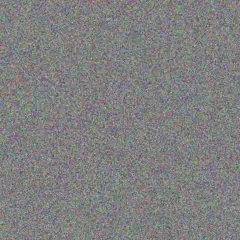 your Zondi karabo ebrahim