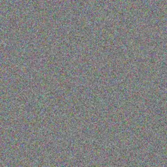 your Zulu nonkululeko barnard