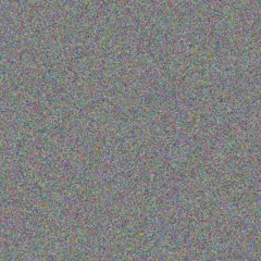 Zack Barton priscilla rosenbaum