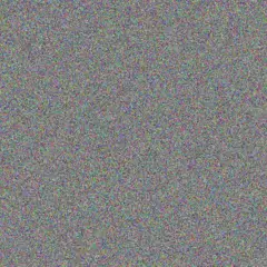 Zandile Carstens bianca lewis