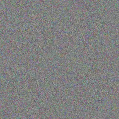 Zanele Mkhize nonhlanhla pienaar