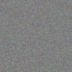 Zelda Adonis bronwyn zungu