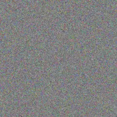 Zelda Adonis nonhlanhla viljoen