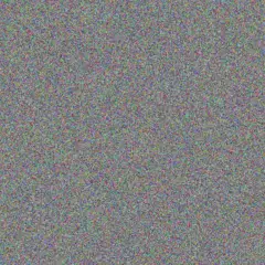 Zora Bartell raven stiedemann