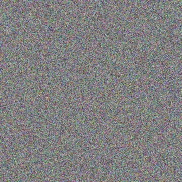 Carla van Niekerk nicolaas steyn