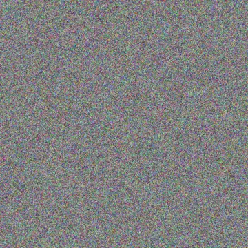 Cortney Haag thaddeus steuber