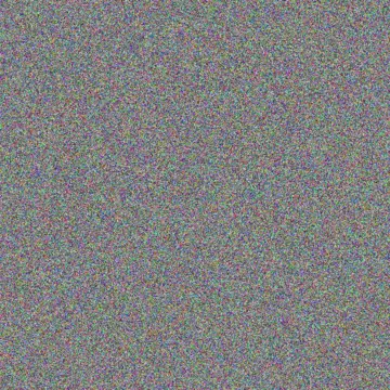 Cortney Haag tom murphy