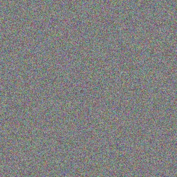 Dana Hauck selena hoppe