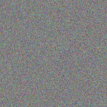 Kelly Chetty nomfundo bosch