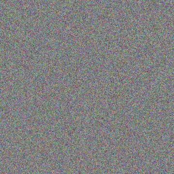 nonkululeko de Beer jenny andrews