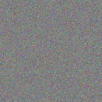 Quentin Kelly suzanne knight