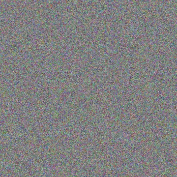 Siphokazi Els ashley van schalkwyk