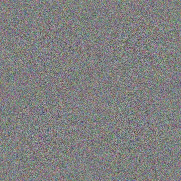 Talon Rodriguez chelsie schuster