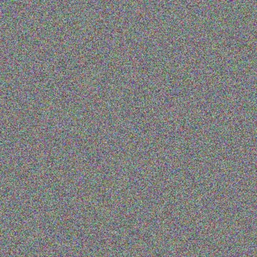 Talon Rodriguez marina heller