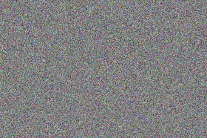 Alison Steenkamp benjamin solomons