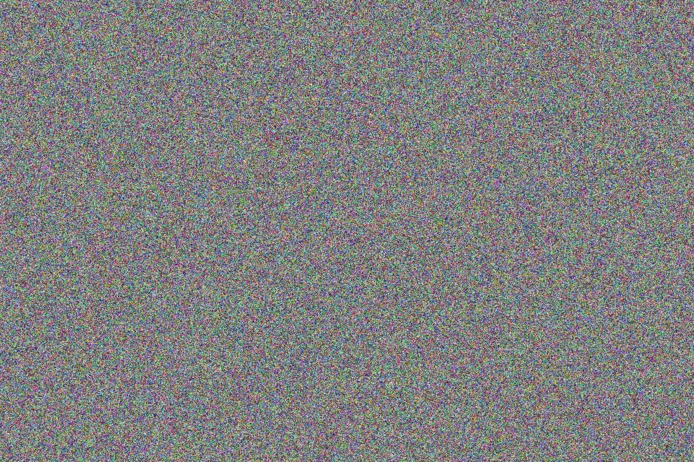 Carey Larkin willy prohaska