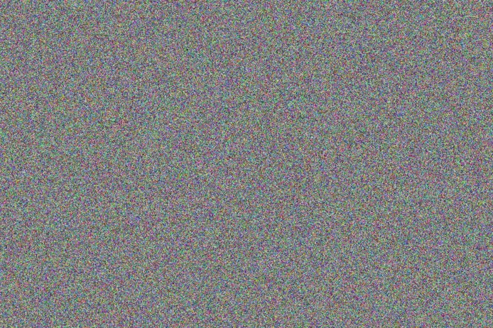 Dixie Torphy hollis witting