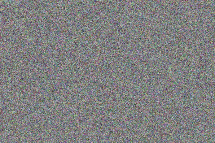 Elizabeth Hill muhammad vermaak