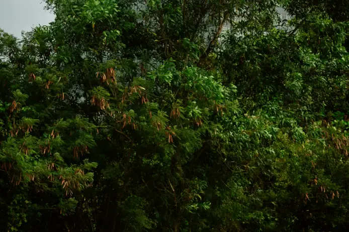 James Bond pexels thien phuoc phuong