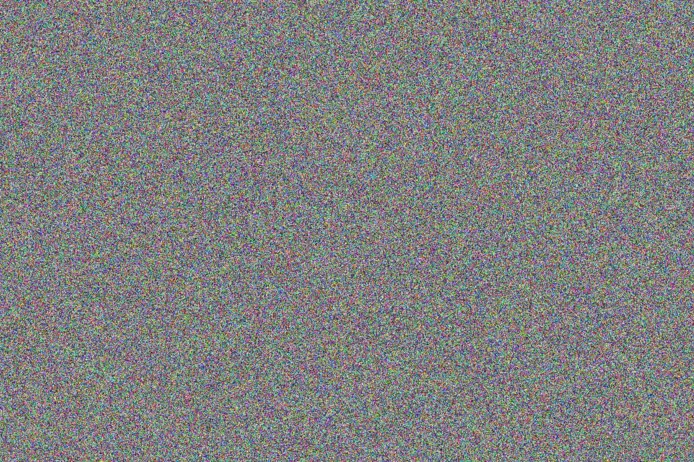 Jessica King philip nel