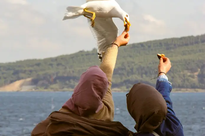 John Johnsons pexels esmanur m